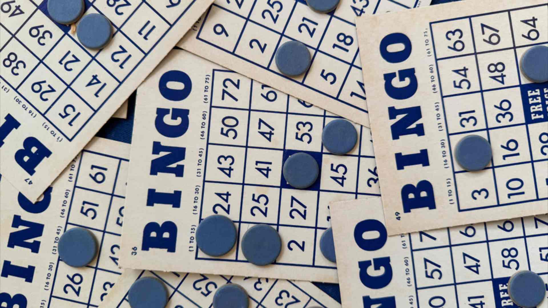 What Are the Lottery Numbers Tonight and Where to Find the Official Results